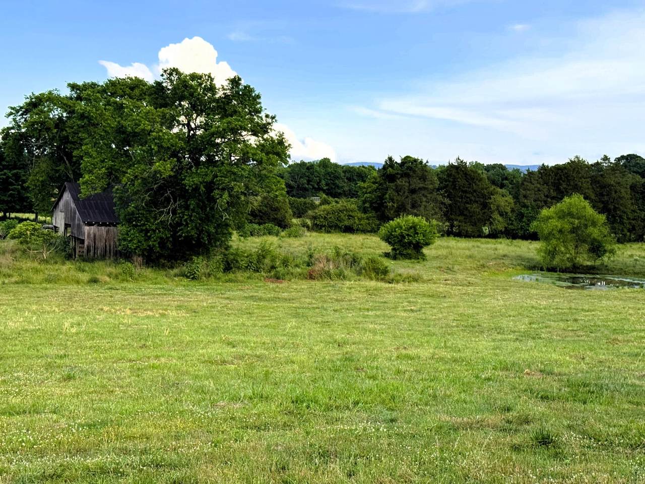 https://bt-photos.global.ssl.fastly.net/nashville/1280_boomver_1_RTC3244250-1.jpg