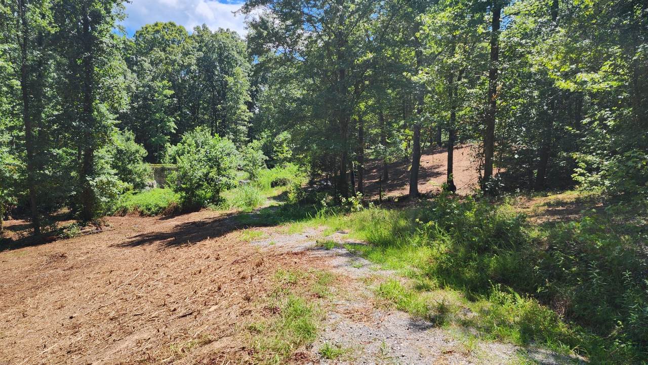 375 Goins Hill Road - Photo 1