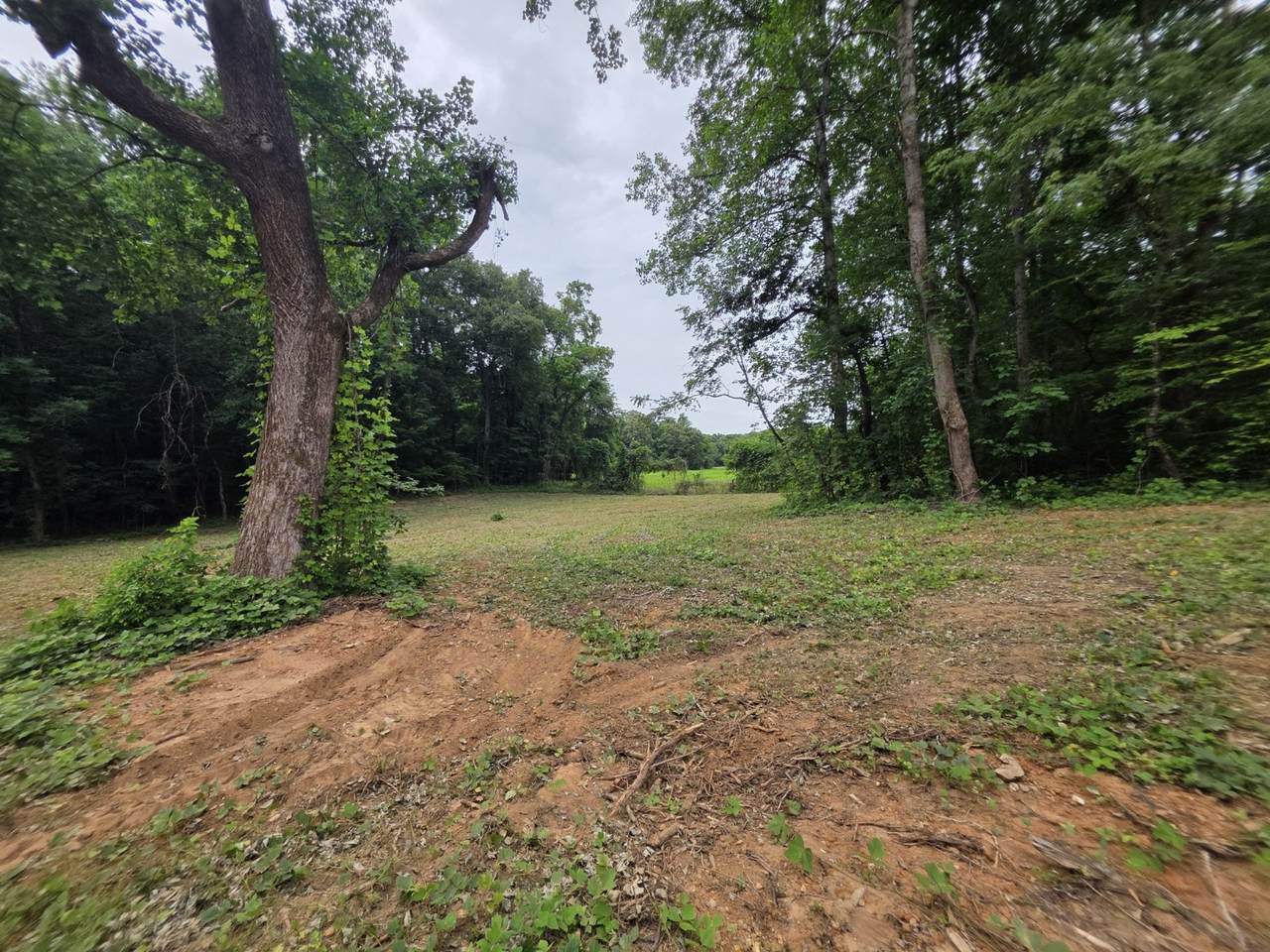 https://bt-photos.global.ssl.fastly.net/nashville/1280_boomver_1_RTC3244360-1.jpg