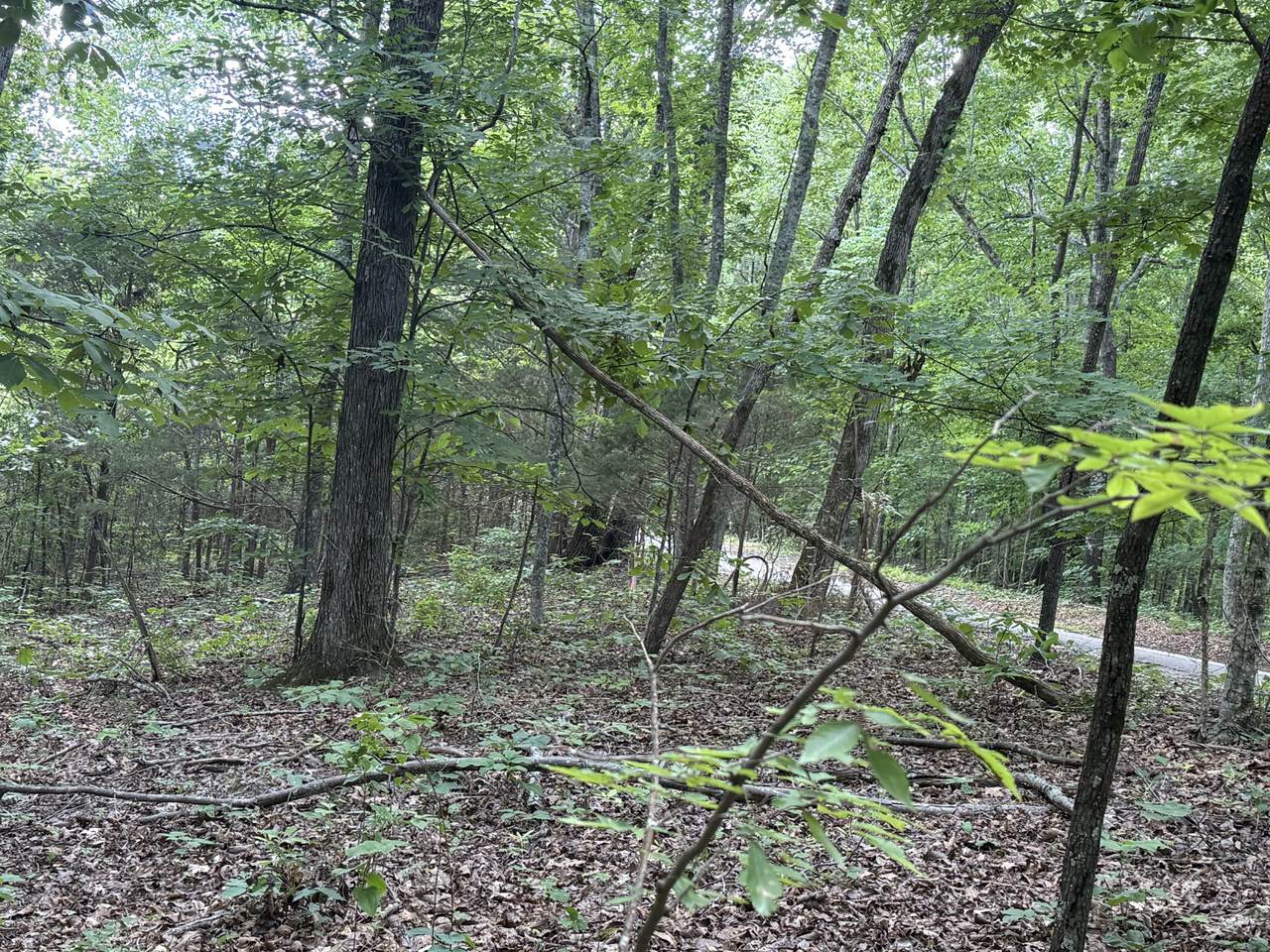0 Jack Holt Rd - Photo 1