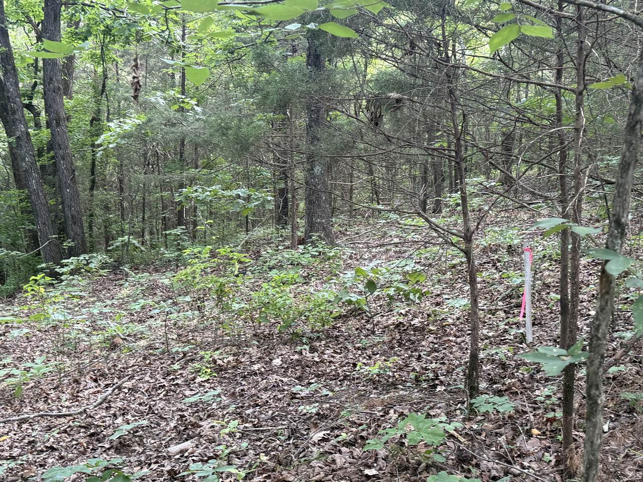 https://bt-photos.global.ssl.fastly.net/nashville/1280_boomver_1_RTC3244526-1.jpg