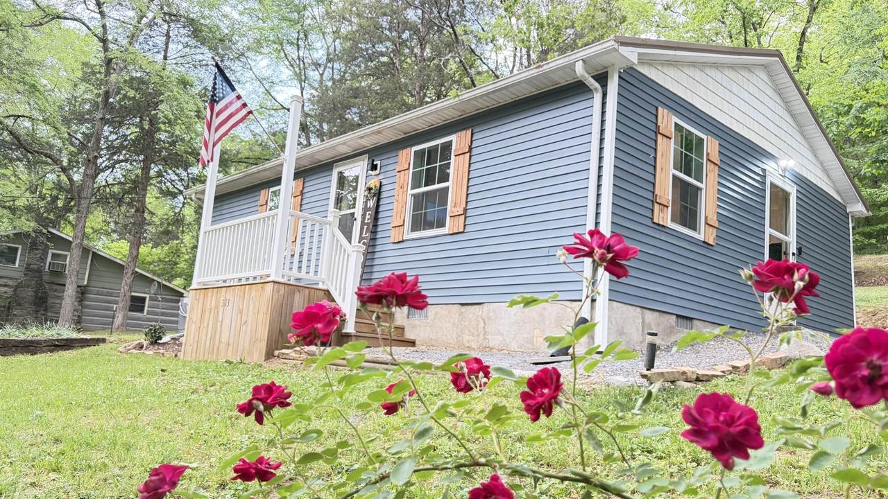 313 Ben Myers Ln - Photo 1