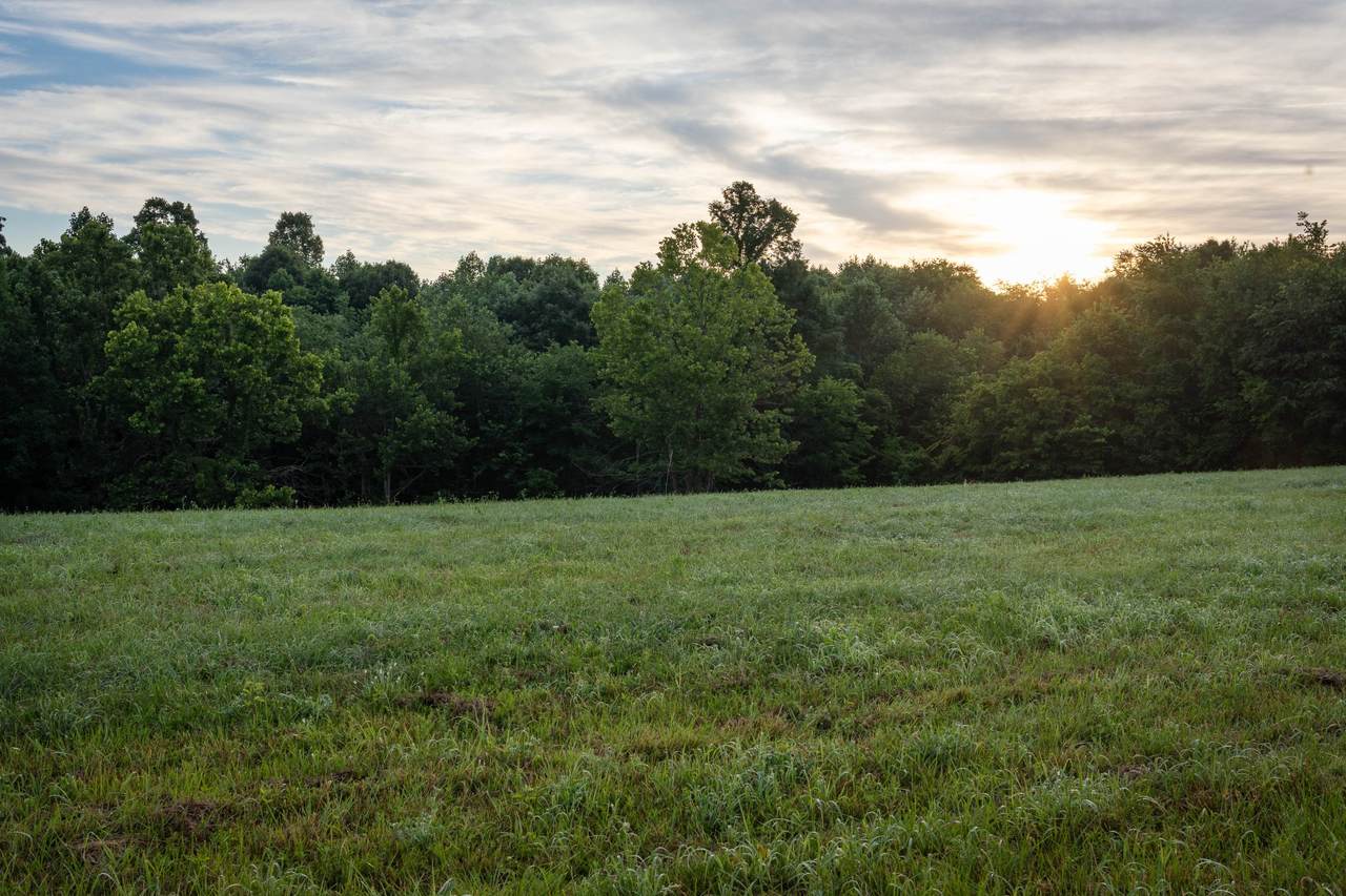 https://bt-photos.global.ssl.fastly.net/nashville/1280_boomver_1_RTC3244576-1.jpg