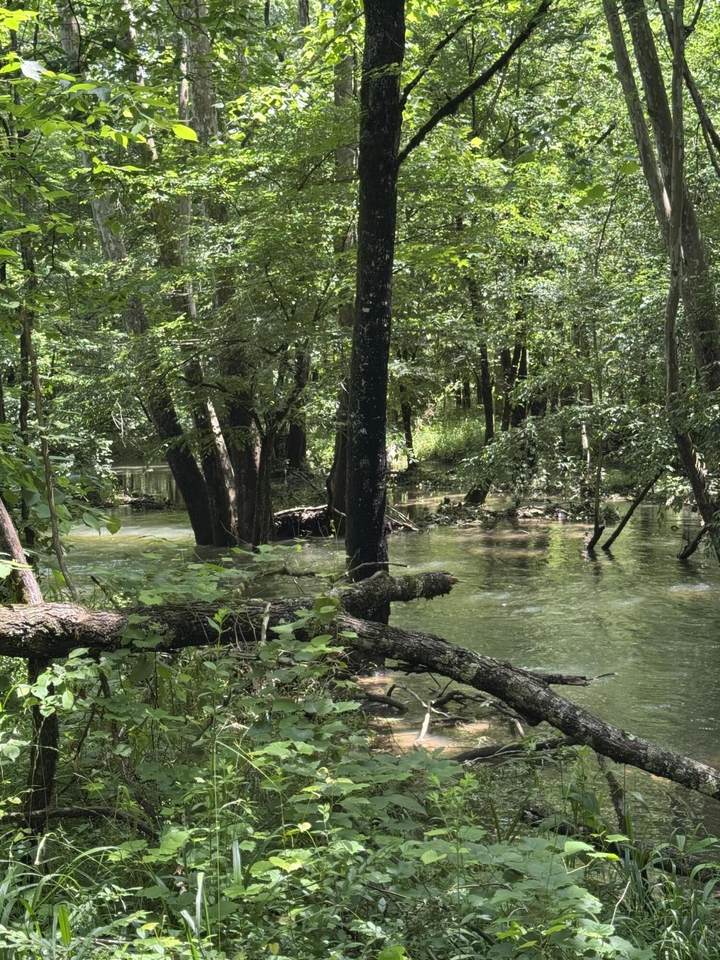 2784 Fiery Gizzard Road - Photo 1