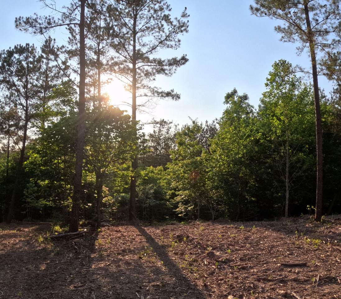 1882 Hillbrook Dr - Photo 1