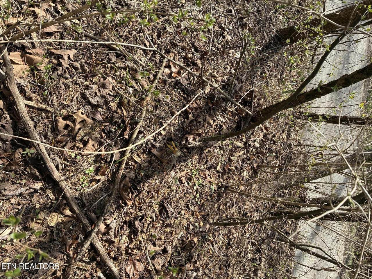 https://bt-photos.global.ssl.fastly.net/nashville/orig_boomver_1_RTC3244892-1.jpg
