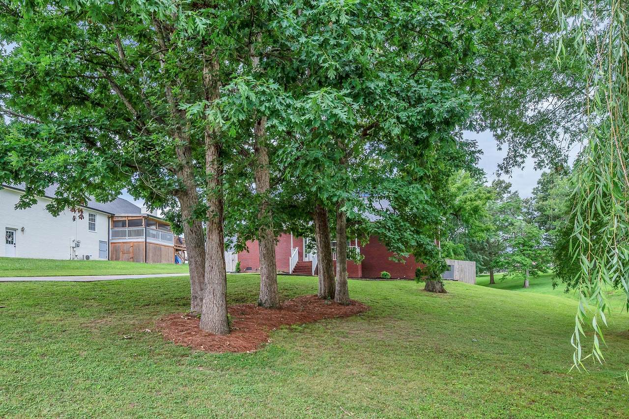 https://bt-photos.global.ssl.fastly.net/nashville/1280_boomver_1_RTC3245139-1.jpg