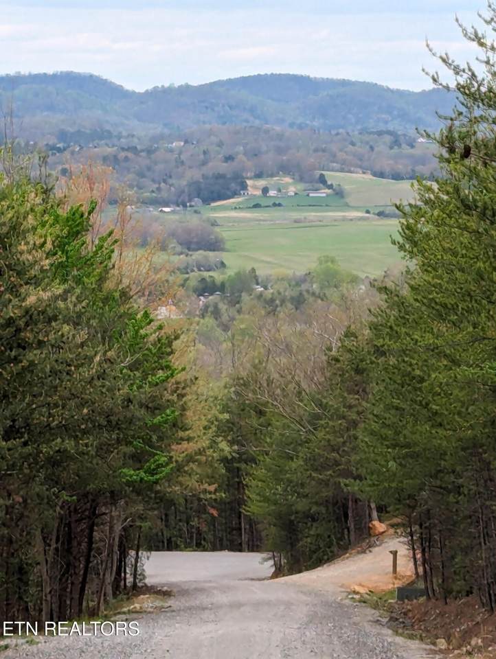 https://bt-photos.global.ssl.fastly.net/nashville/1280_boomver_1_RTC3245140-1.jpg