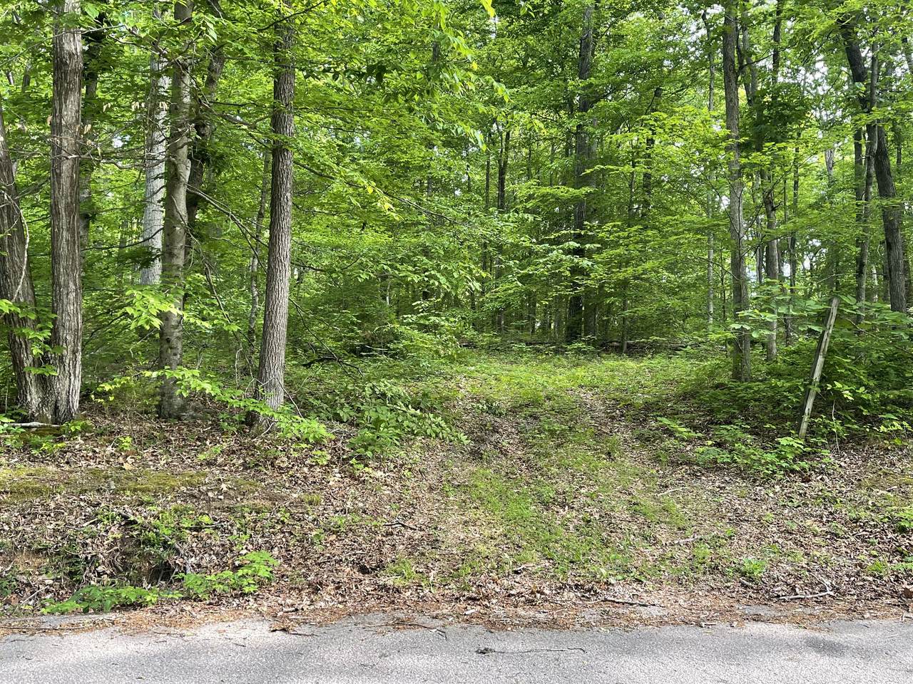 1 Doug Thompson Rd - Photo 1