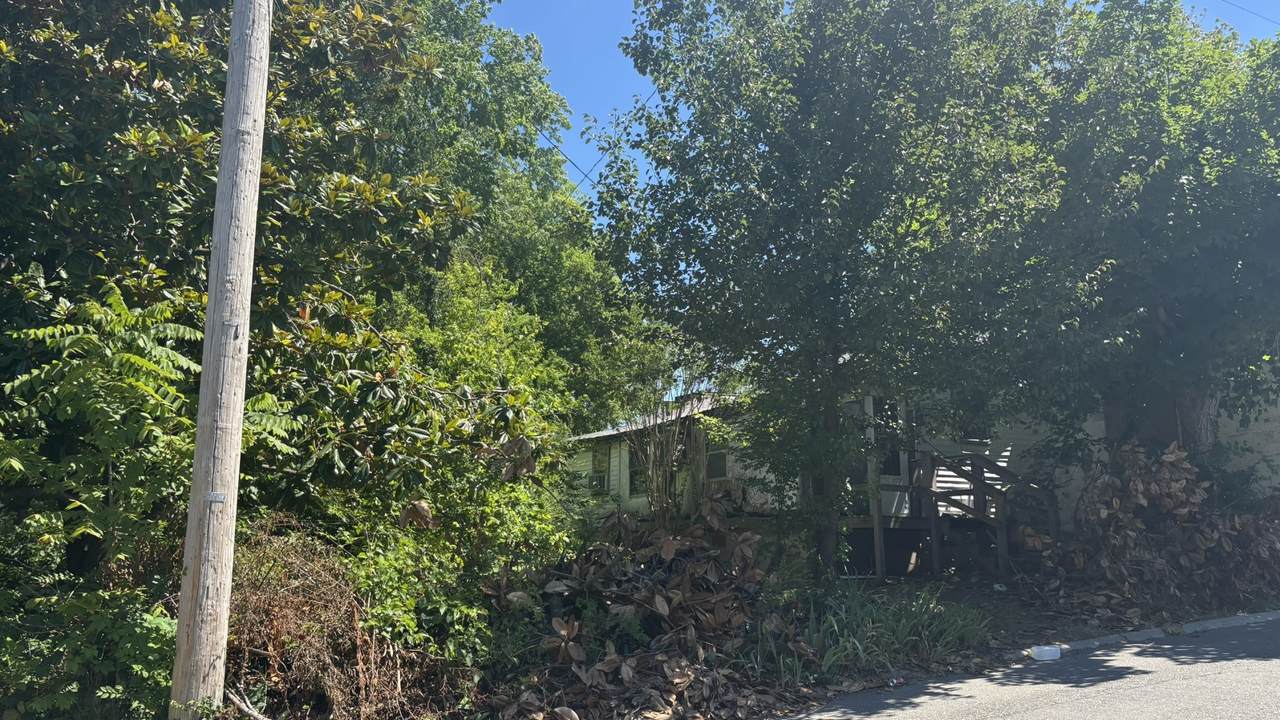 2089 Leota St - Photo 1