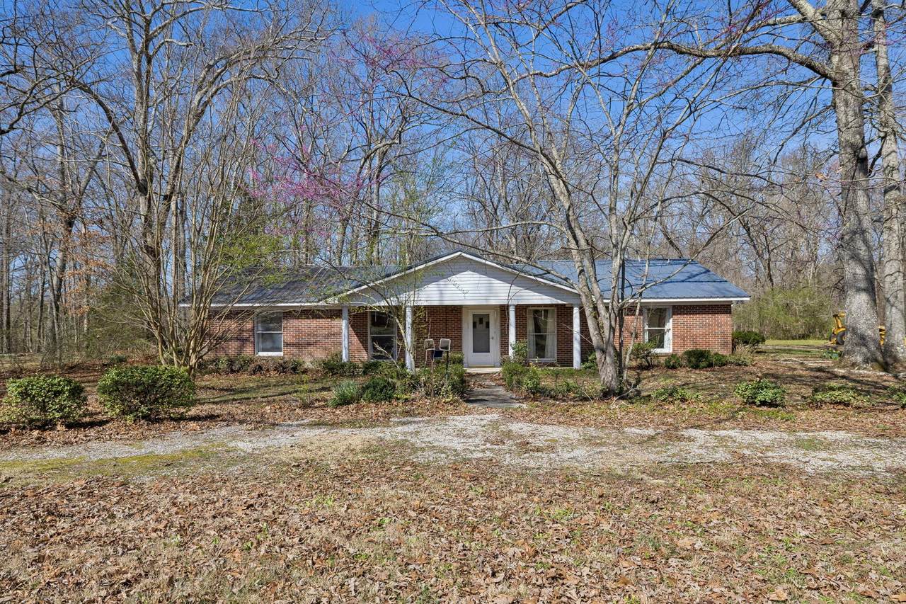 https://bt-photos.global.ssl.fastly.net/nashville/1280_boomver_1_RTC3245794-1.jpg