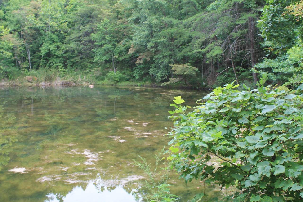 https://bt-photos.global.ssl.fastly.net/nashville/1280_boomver_1_RTC3245936-1.jpg