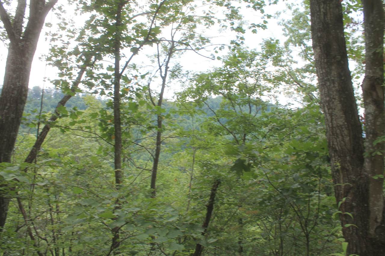 3 Straight Fork Road - Photo 1