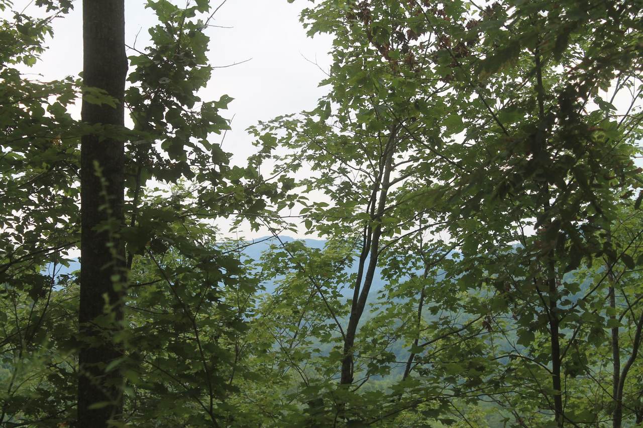 https://bt-photos.global.ssl.fastly.net/nashville/1280_boomver_1_RTC3246034-1.jpg