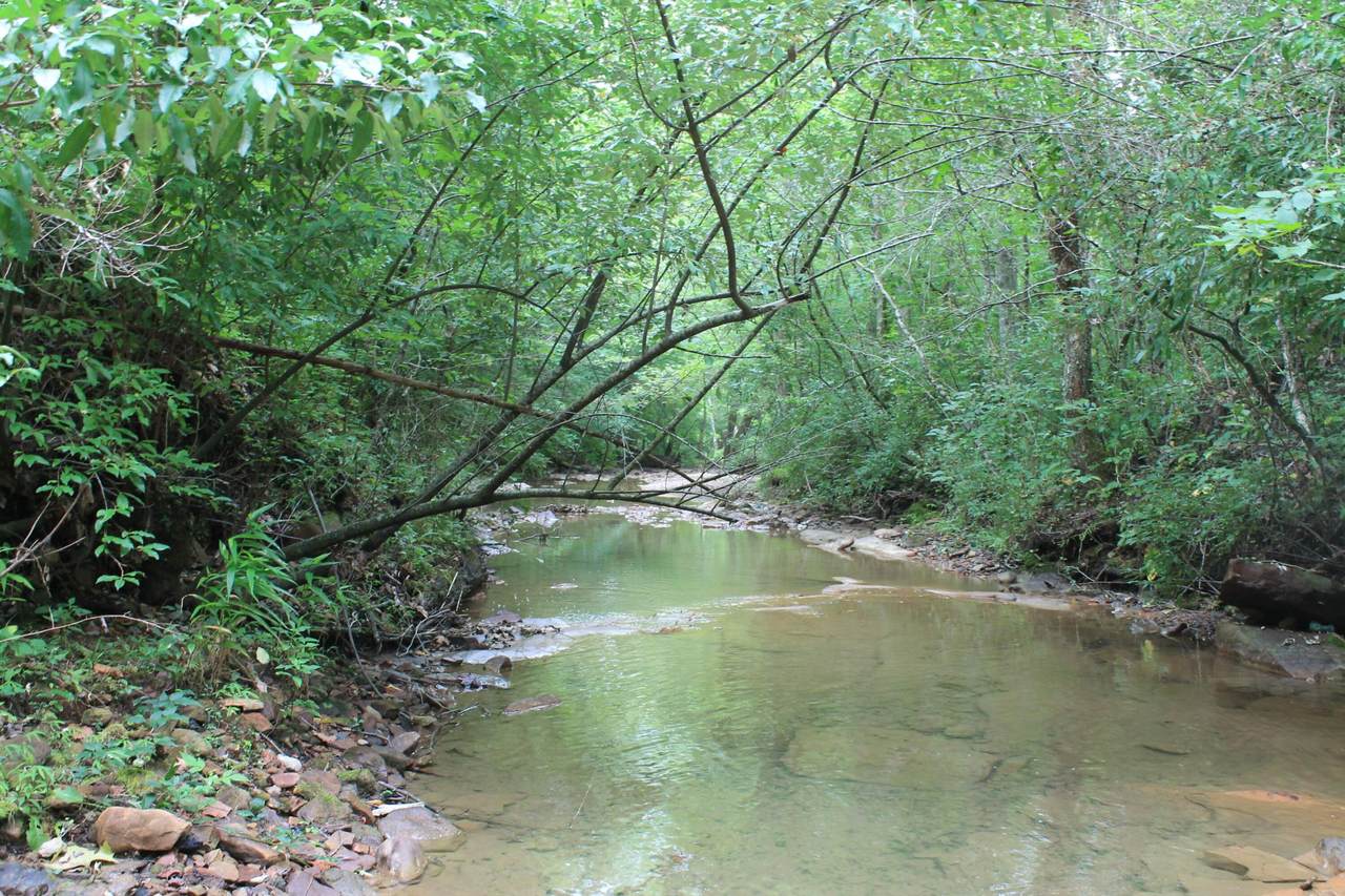 https://bt-photos.global.ssl.fastly.net/nashville/1280_boomver_1_RTC3246034-1.jpg