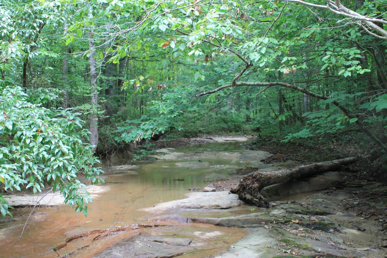 https://bt-photos.global.ssl.fastly.net/nashville/1280_boomver_1_RTC3246034-1.jpg