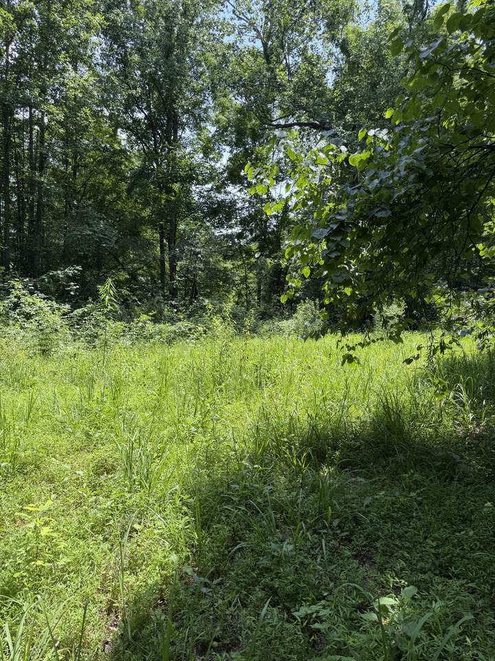 https://bt-photos.global.ssl.fastly.net/nashville/1280_boomver_1_RTC3246271-1.jpg