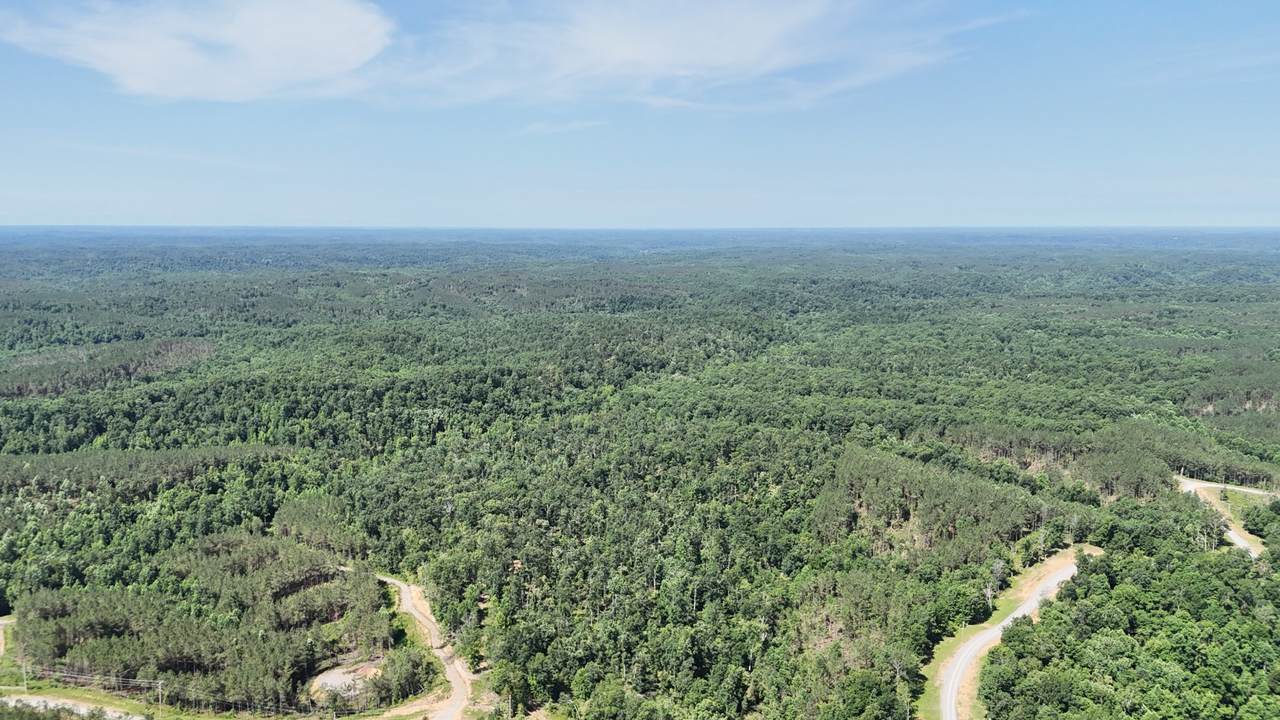 https://bt-photos.global.ssl.fastly.net/nashville/1280_boomver_1_RTC3246338-1.jpg