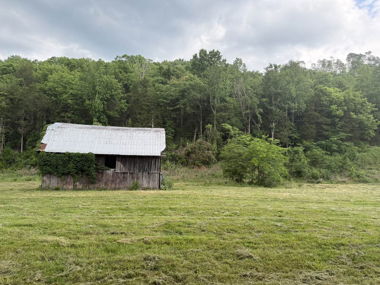 https://bt-photos.global.ssl.fastly.net/nashville/1280_boomver_1_RTC3246472-1.jpg