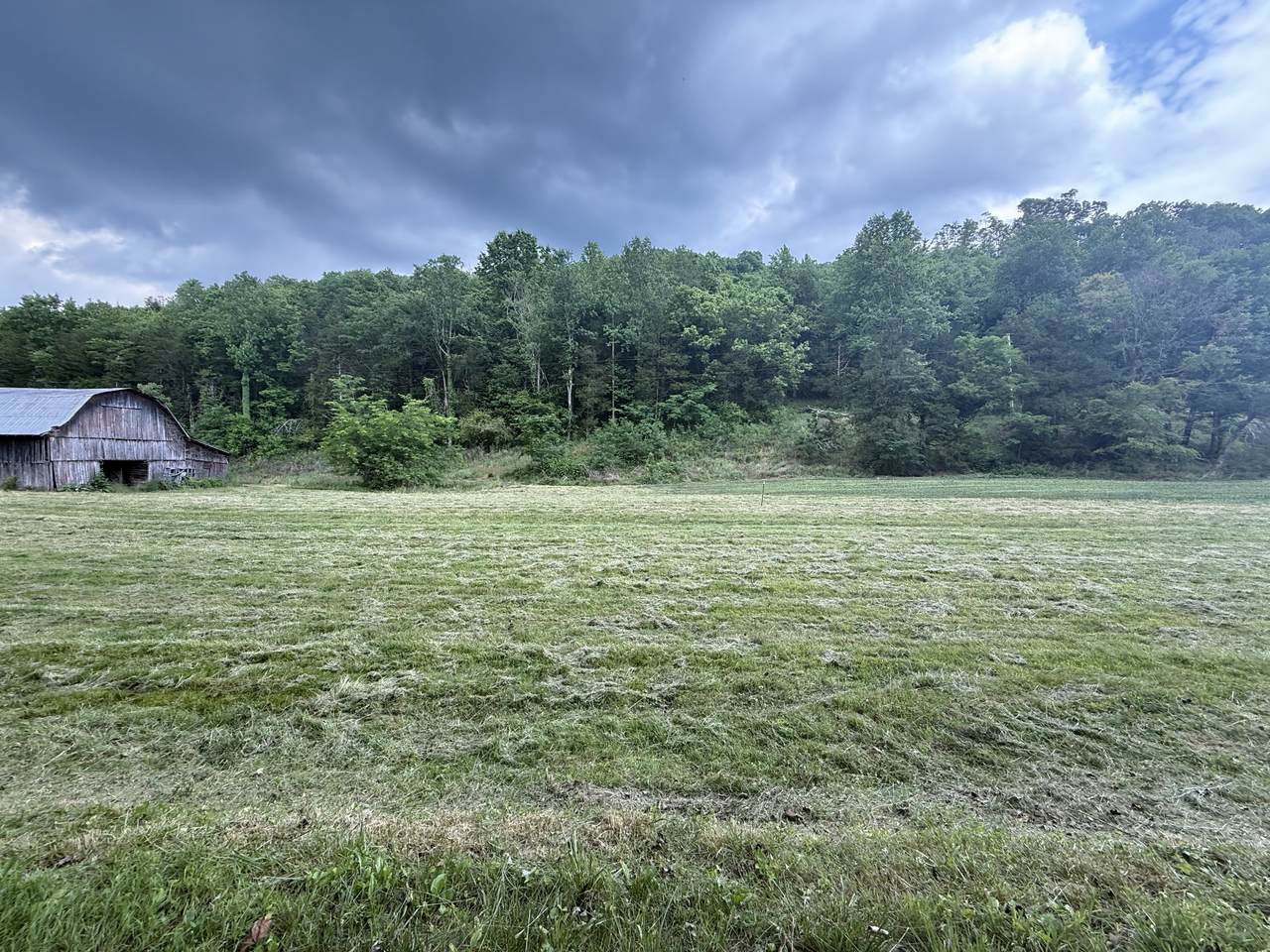 https://bt-photos.global.ssl.fastly.net/nashville/1280_boomver_1_RTC3246472-1.jpg