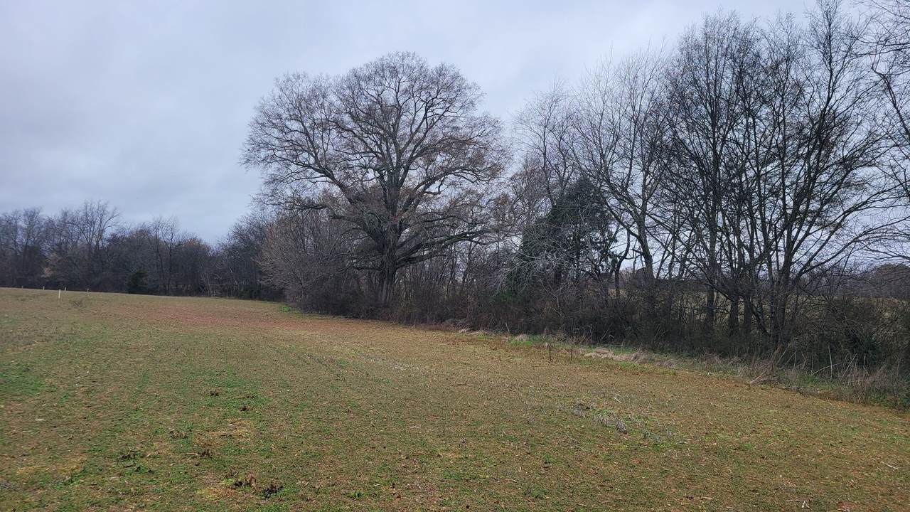 https://bt-photos.global.ssl.fastly.net/nashville/1280_boomver_1_RTC3246556-1.jpg