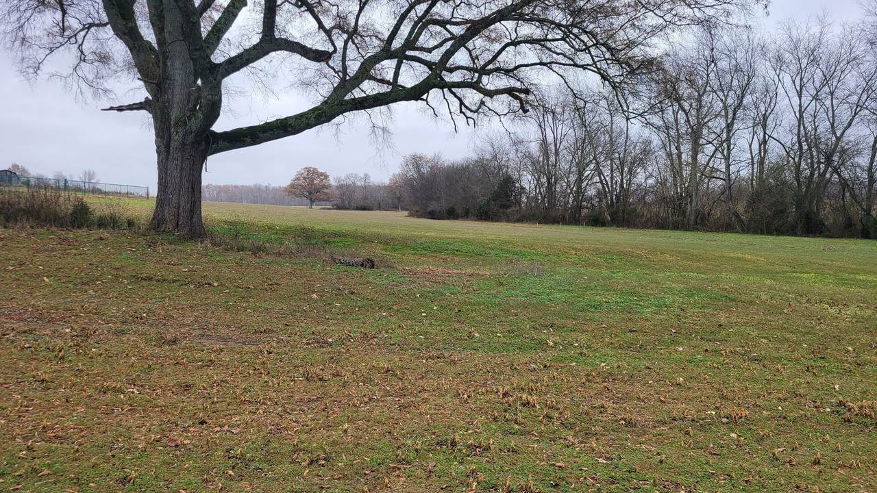 https://bt-photos.global.ssl.fastly.net/nashville/1280_boomver_1_RTC3246556-1.jpg