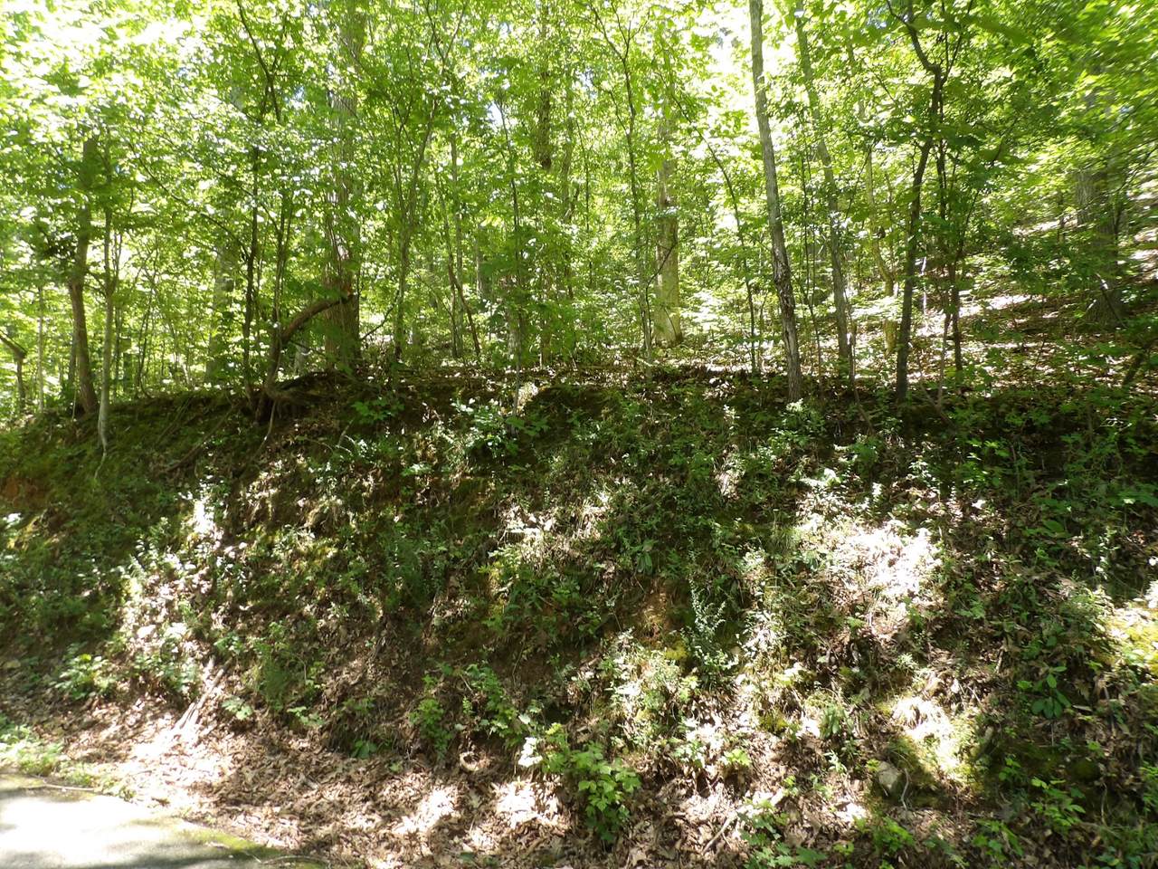https://bt-photos.global.ssl.fastly.net/nashville/1280_boomver_1_RTC3246557-1.jpg