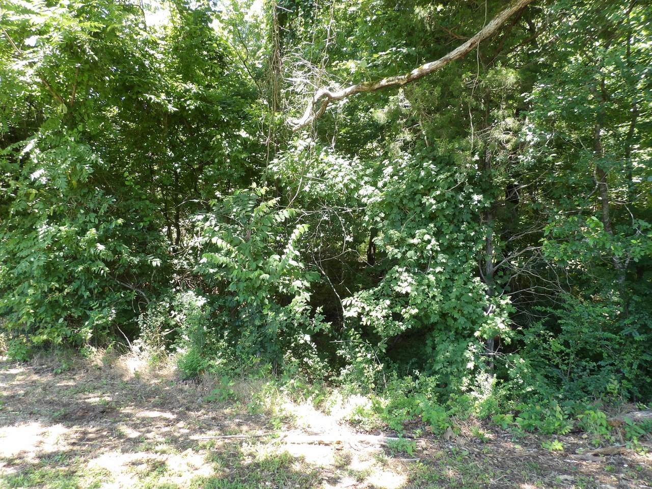 https://bt-photos.global.ssl.fastly.net/nashville/1280_boomver_1_RTC3246557-1.jpg
