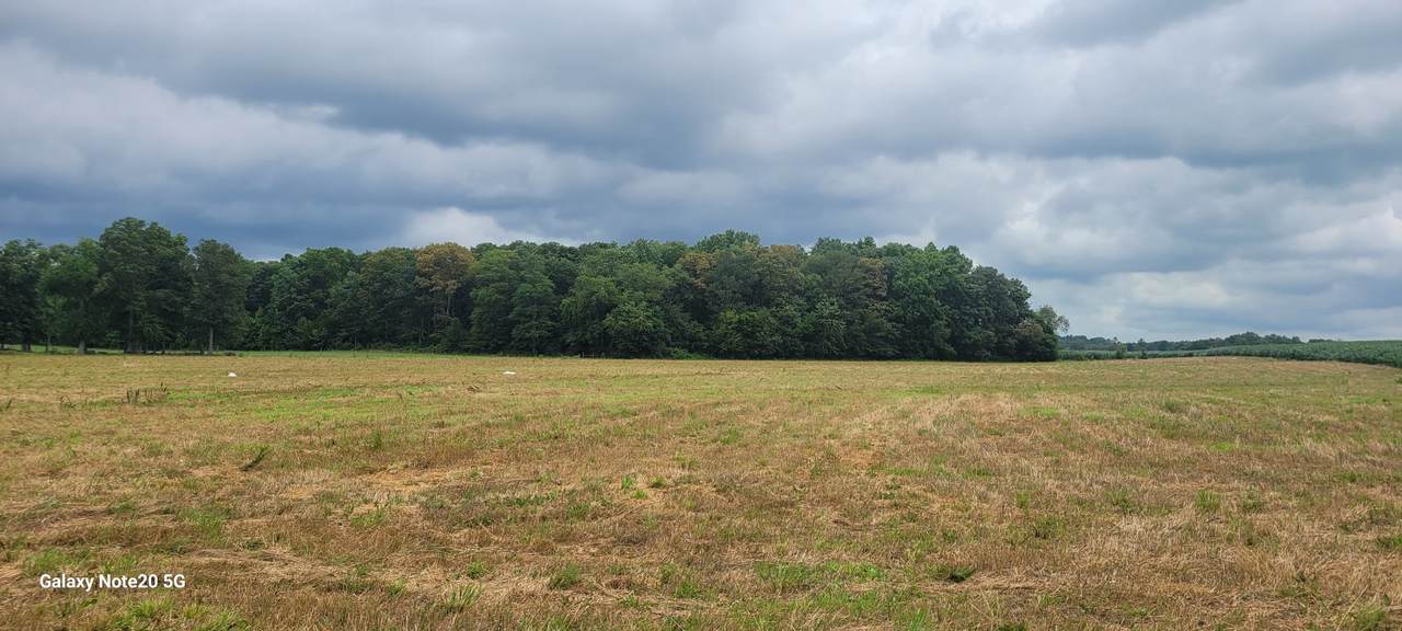 11 Ira Darby Prater Hwy - Photo 1