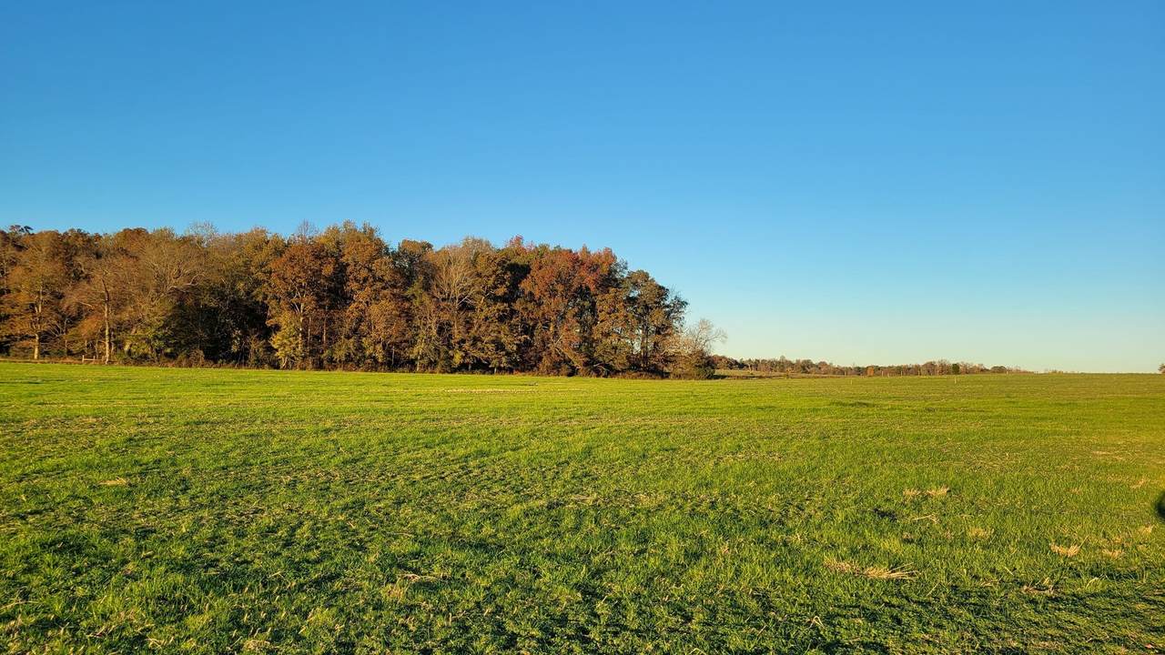 https://bt-photos.global.ssl.fastly.net/nashville/1280_boomver_1_RTC3246559-1.jpg