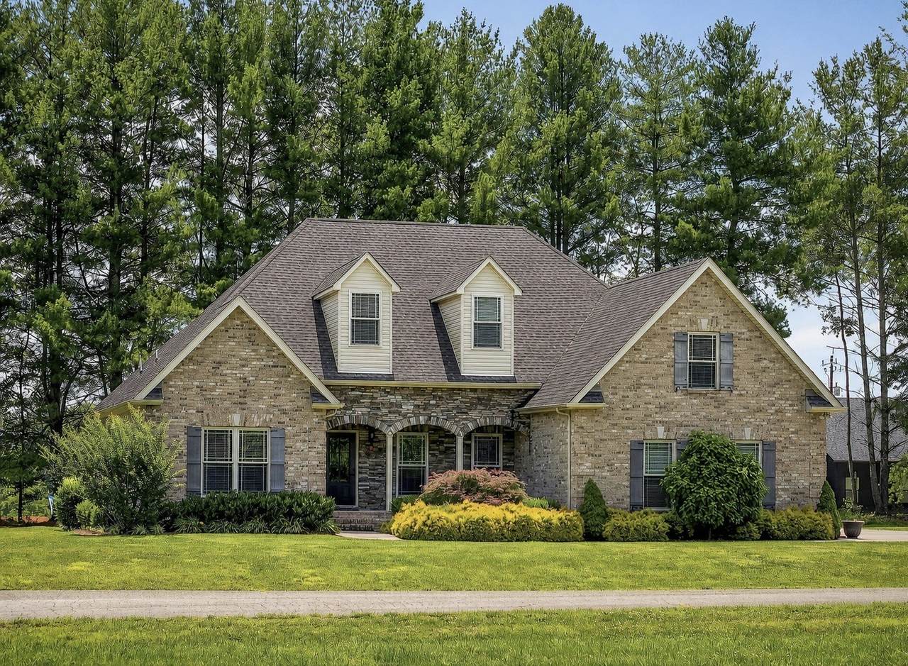 139 Chestnut Oak Ave - Photo 1