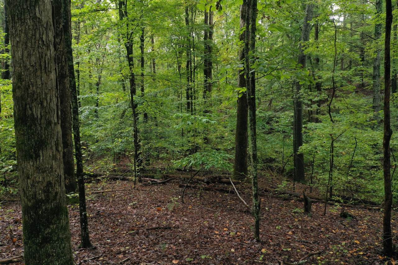 https://bt-photos.global.ssl.fastly.net/nashville/1280_boomver_1_RTC3246740-1.jpg