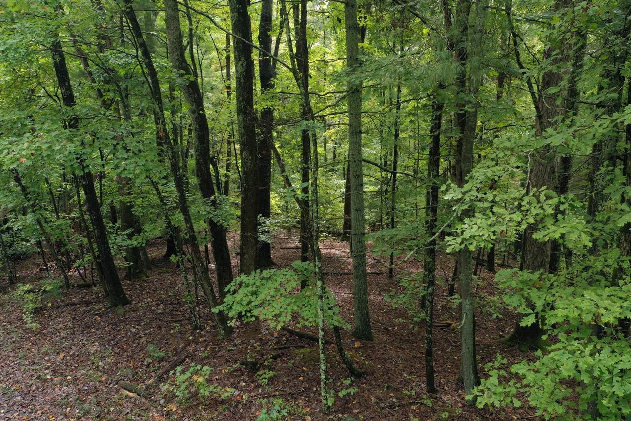 https://bt-photos.global.ssl.fastly.net/nashville/1280_boomver_1_RTC3246740-1.jpg
