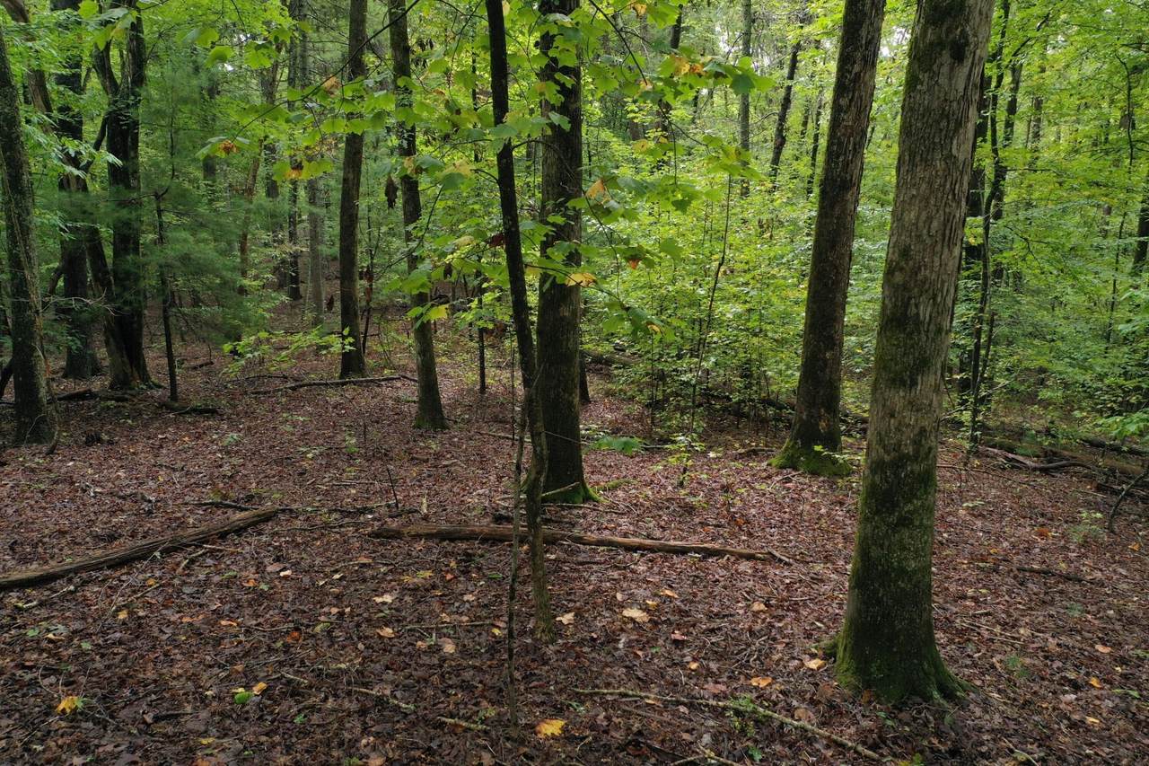 https://bt-photos.global.ssl.fastly.net/nashville/1280_boomver_1_RTC3246740-1.jpg