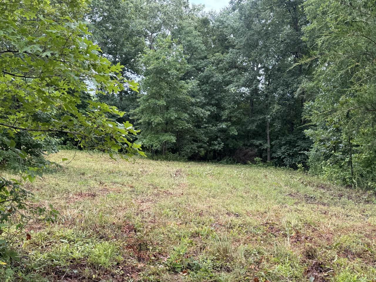 0 Johnson Hollow Rd - Photo 1