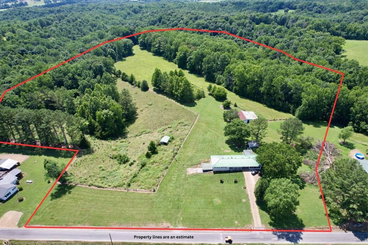 59 Hardin Loop - Photo 1