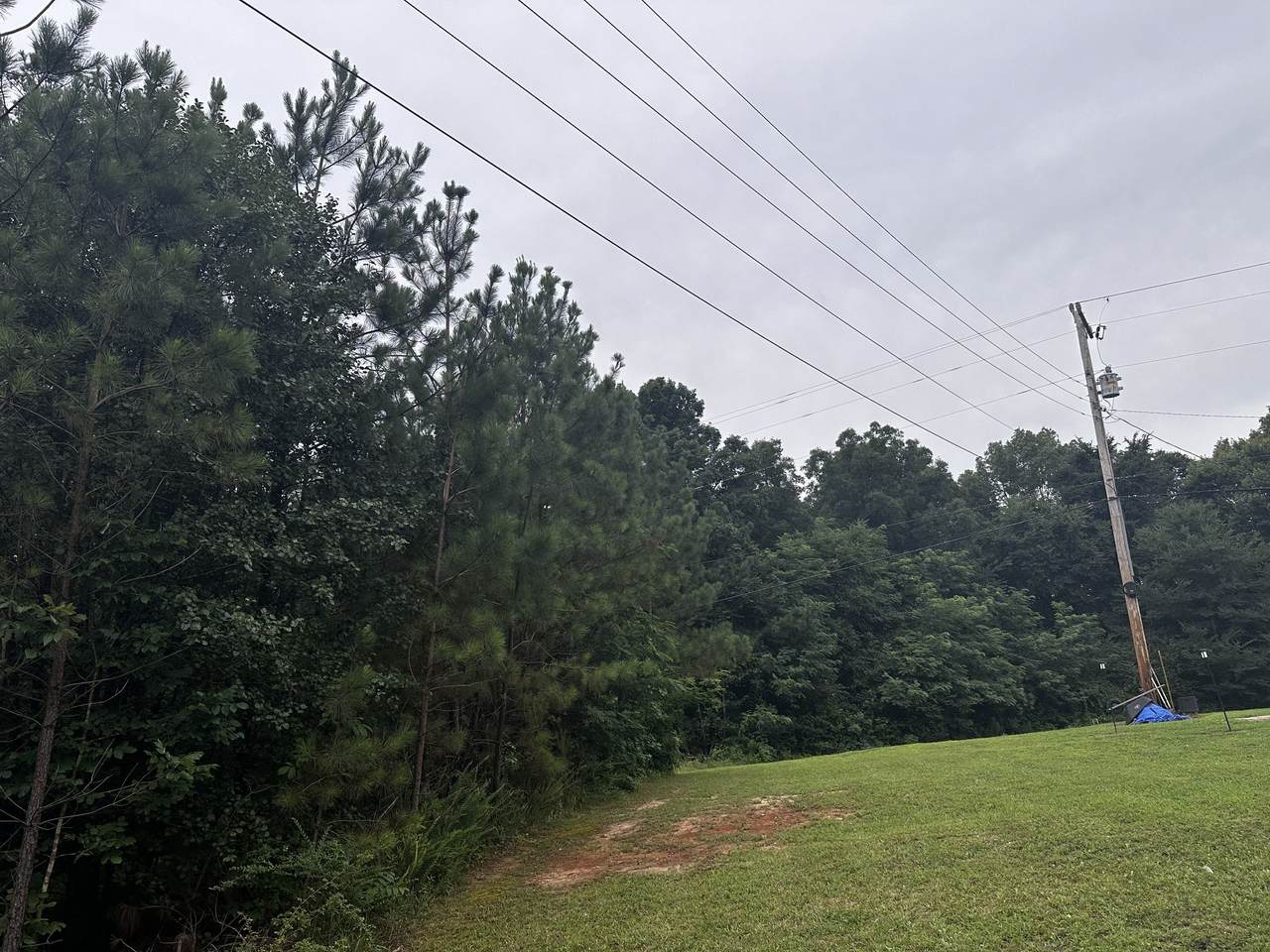 https://bt-photos.global.ssl.fastly.net/nashville/1280_boomver_1_RTC3247211-1.jpg