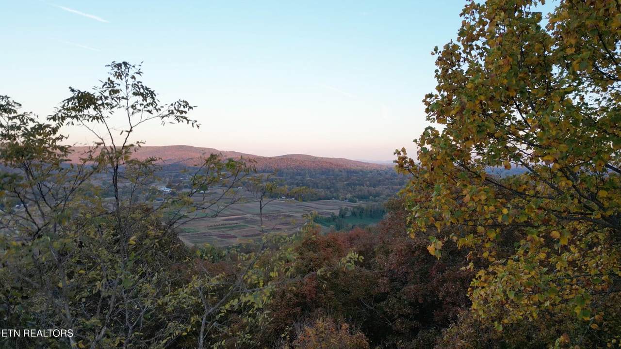 https://bt-photos.global.ssl.fastly.net/nashville/1280_boomver_1_RTC3247230-1.jpg