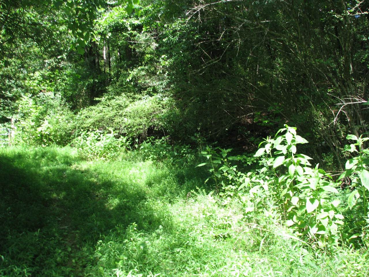 0 Matthews Hollow Rd - Photo 1