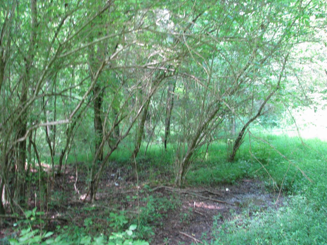 https://bt-photos.global.ssl.fastly.net/nashville/1280_boomver_1_RTC3247437-1.jpg