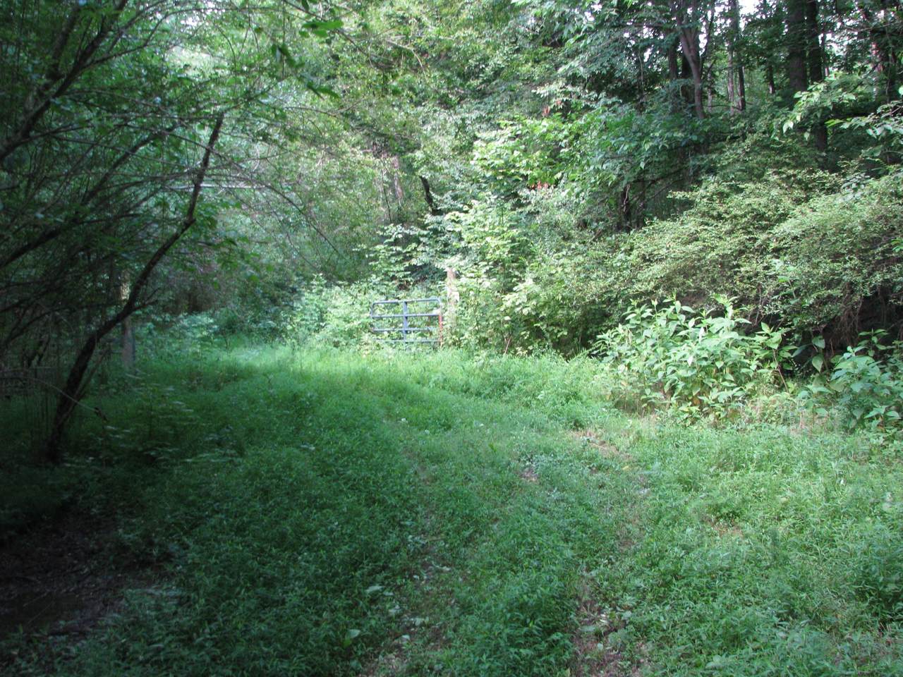 https://bt-photos.global.ssl.fastly.net/nashville/1280_boomver_1_RTC3247437-1.jpg