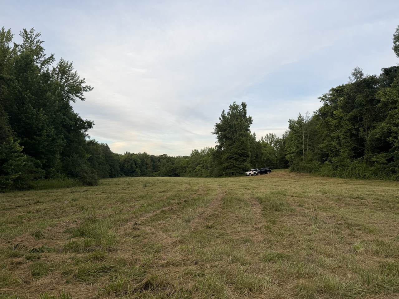 https://bt-photos.global.ssl.fastly.net/nashville/1280_boomver_1_RTC3247519-1.jpg