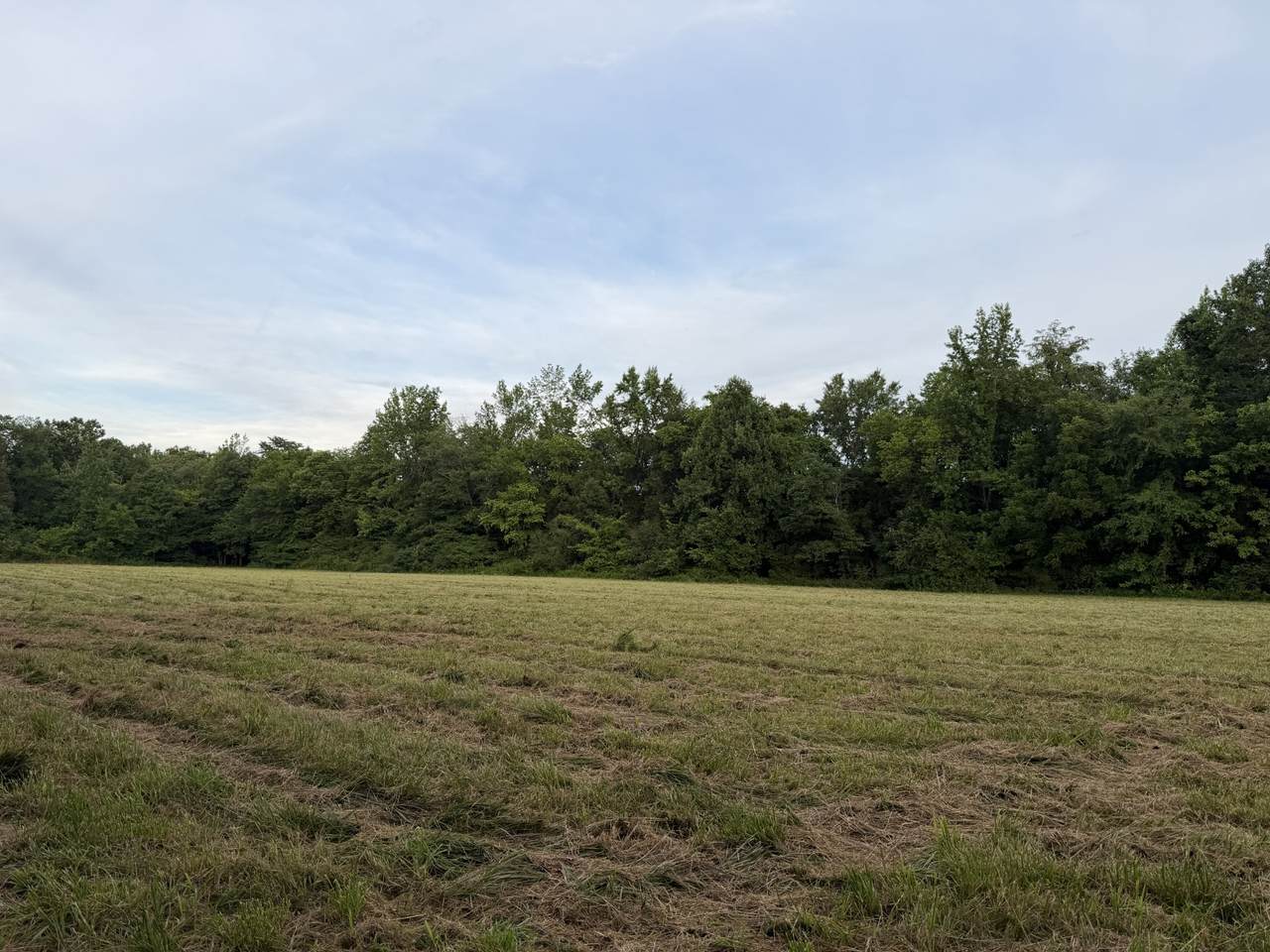 https://bt-photos.global.ssl.fastly.net/nashville/1280_boomver_1_RTC3247519-1.jpg