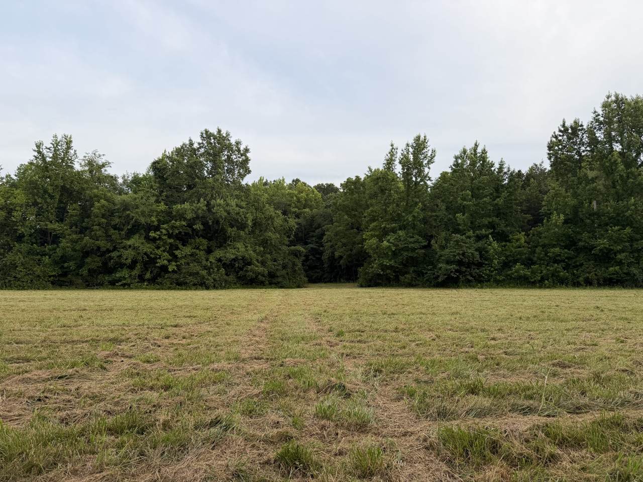 https://bt-photos.global.ssl.fastly.net/nashville/1280_boomver_1_RTC3247519-1.jpg