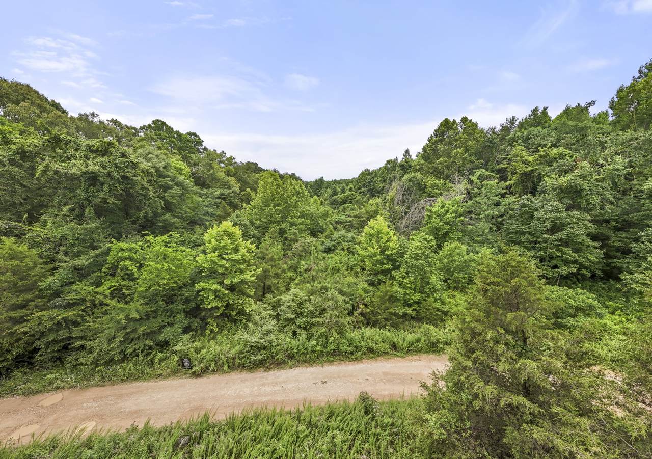 https://bt-photos.global.ssl.fastly.net/nashville/1280_boomver_1_RTC3247736-1.jpg