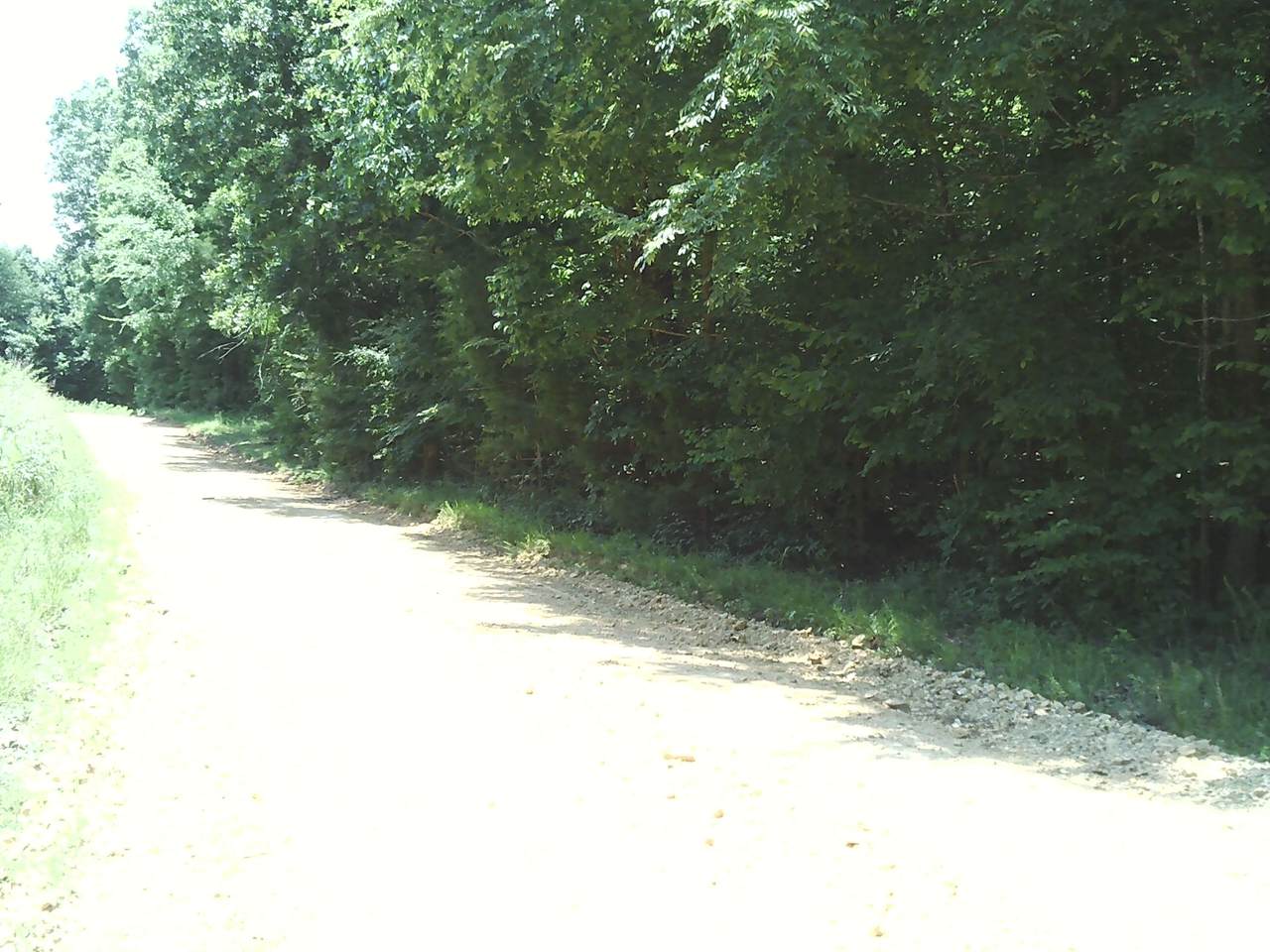 https://bt-photos.global.ssl.fastly.net/nashville/1280_boomver_1_RTC3247955-1.jpg