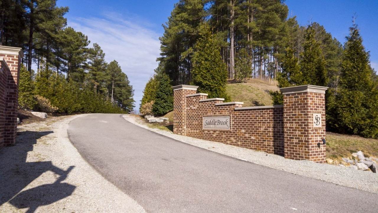 257 Saddlebrook Dr - Photo 1