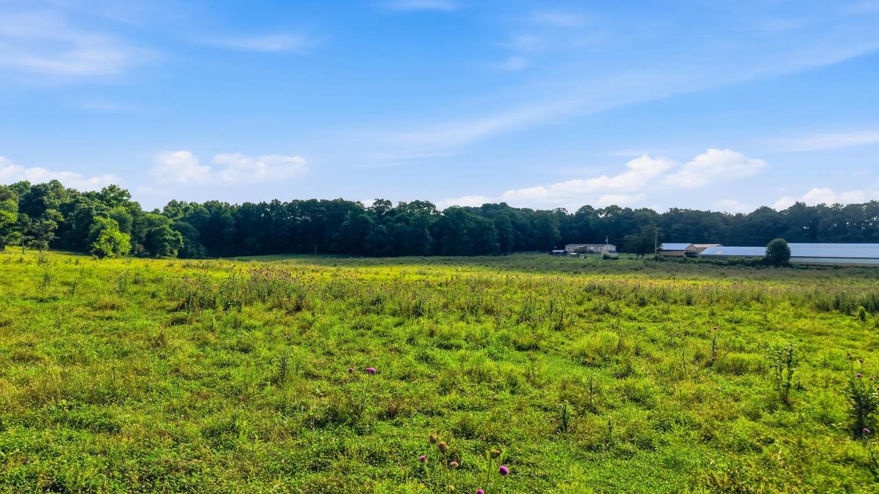 6373 Bates Pike - Photo 1