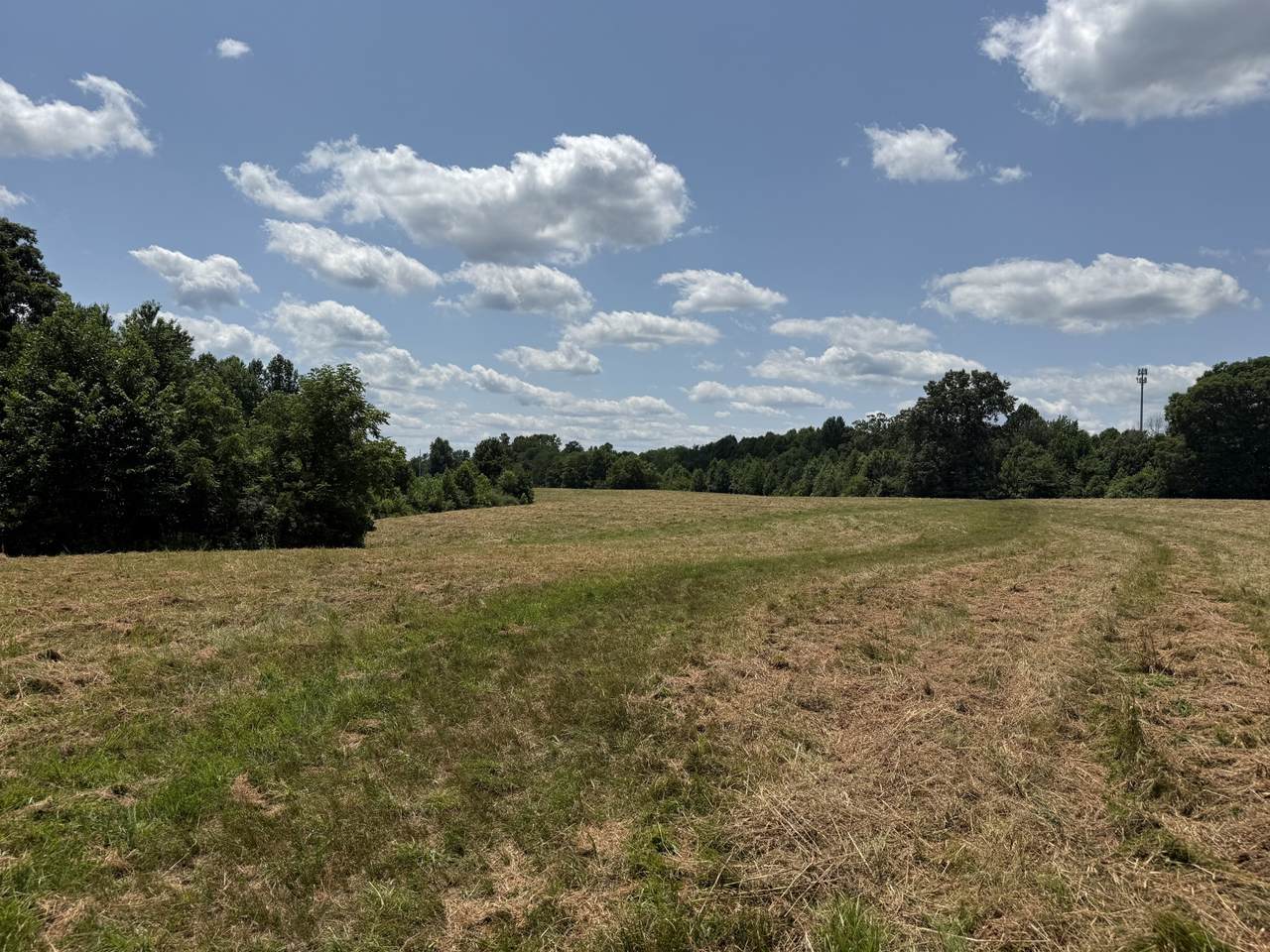 3225 S Grundy Quarles Hwy - Photo 1
