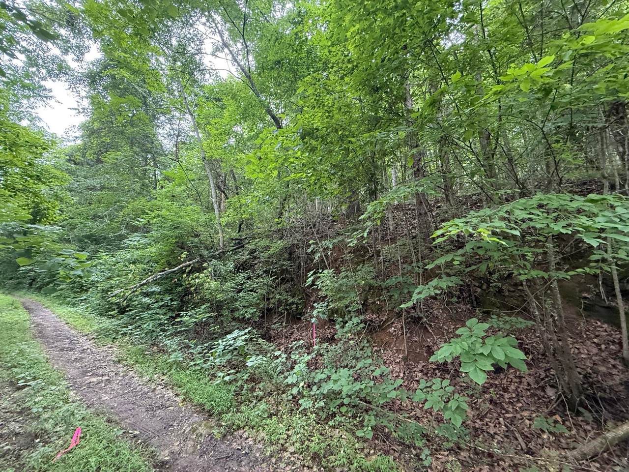 0 Fortunato Drive - Photo 1